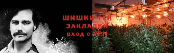 винт Гусев
