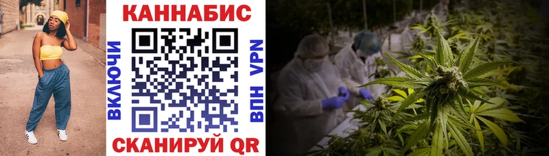 Каннабис ГИДРОПОН  mega рабочий сайт  Кудрово  купить закладку 
